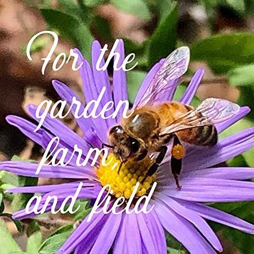 Wildflower Seed Bulk - Midwestern Wildflower Mix - 1 lb. 640,000+ Prairie Wildflowers - Annual & Perennial Flower Seeds - Wildflowers - Flower Seeds Bulk - Pollinator Flowers Seed