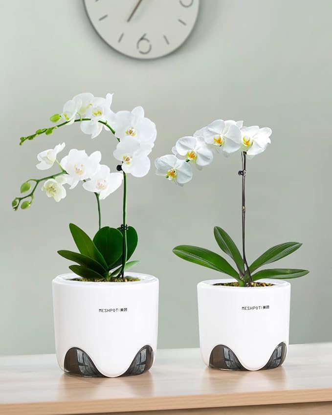 5 inch Orchid Pots with Holes for Repotting with Excellent Airflow, Set of 3, Double Layer Plastic Imitate Ceramic Orchid Planter, Clear Orchid Pot Match Decorative Orchid Container
