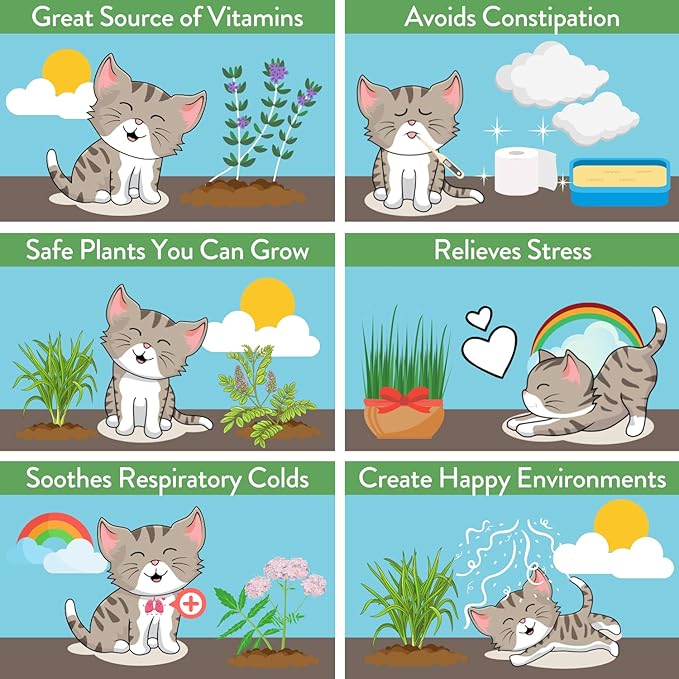 HOME GROWN 2,160+ Cat Plant Seeds Mix β π‘π’π‘-ππ π’ π¨π¦π-π¦π’π¨π₯πππ Heirloom Catnip, Lemongrass, Licorice, Thyme & Valerian β Pet-Friendly Indoor Garden Refill Kit for Cats & Kittens