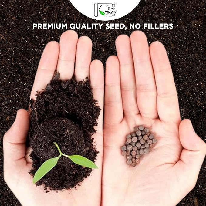 Geva Grow Northwest Wildflower Seeds Regional Mix - Organic, Non-GMO - 100% Pure Seed - 20 Different Wildflowers Seeds of Annual and Perennial, 1 LB Tub