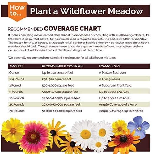 Non GMO Bulk Annual Gaillardia Blanket Flower Seed -Gaillardia pulchella (10 Lbs)