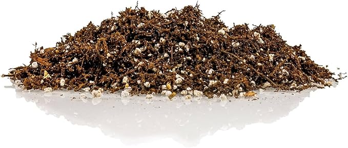 Fern + Perlite Soil Mix - 10 Quart - for Repotting and Planting Succulents and Cactuses (4 Bags of 5 Quart)