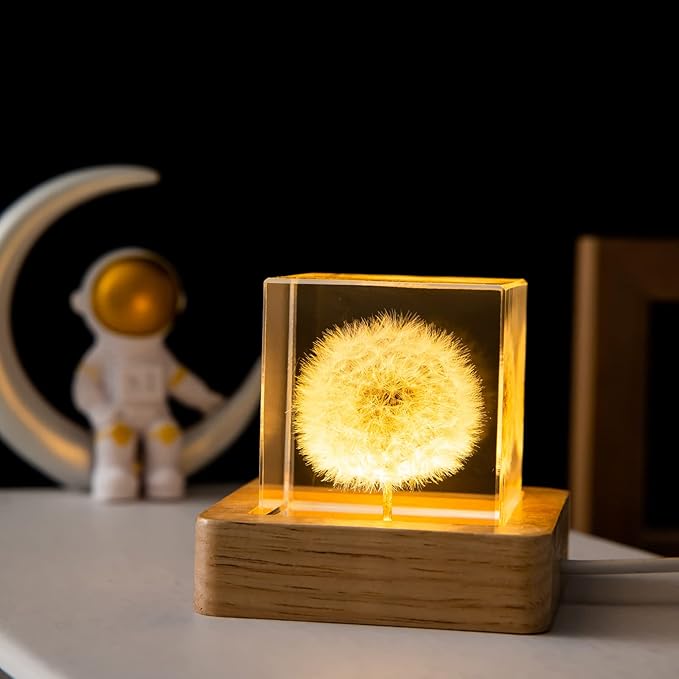Flower Crystal Ball Night Light,2.4 inch Glass Ball Night Lamp with Woodern Base (Dandelion 1)