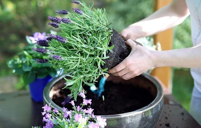 Organic Moisture Control Potting Mix - Absorbs 33% More Water Than Basic Potting Soil - 4 Quart