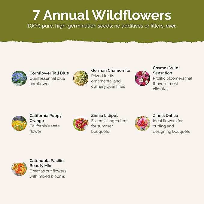 Eden Brothers Field Day Flower Mixed Seeds for Planting, 5 lb, 2,400,000+ Seeds with Zinnia Lilliput, Calendula Mix | Attracts Pollinators, Plant in Spring or Fall, Zones 3, 4, 5, 6, 7, 8, 9, 10