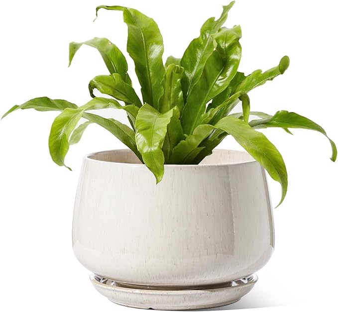 LE TAUCI Ceramic Planters, 10 Inch Pots for Plants, Indoor Plant Pots with Drainage Holes and Saucers, Modern Planters Fit Mid Century Plant Stand, Flower Pots for Indoor Plants, Reactive Glaze Beige