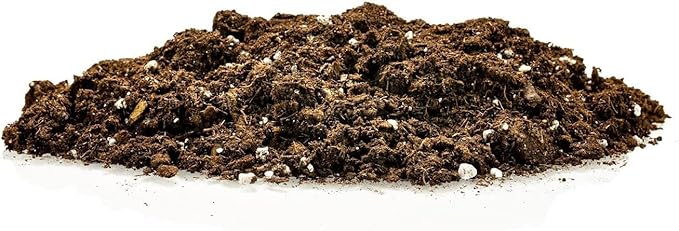 Premium Pothos Potting Soil Mix - Air Cleaning Plant Potting Mix, Soil Mix for Pothos, Parlor Palm, Peace Lily - (1 Quart Bag)