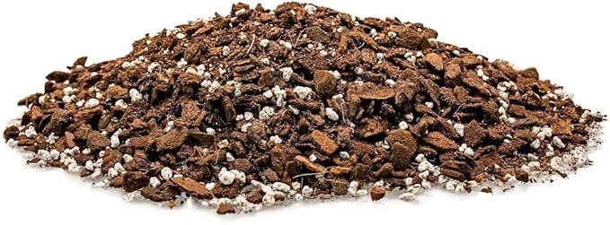 Monstera Borsigiana Soil Blend - Specially Designed for Unique Plant Needs - 4 Quart