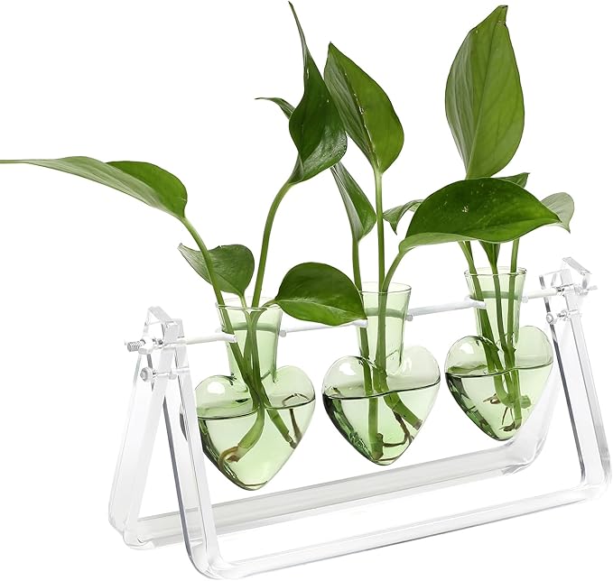 Plant Terrarium Propagation Stations with Wooden Stand Birthday Gifts for Women Plant Stand Indoor Office Home Decor