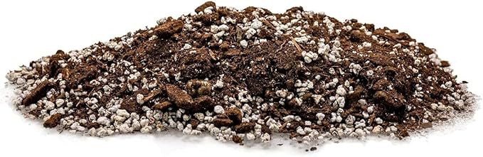 Palm Tree Potting Mix - The Ultimate Soil for Strong and Healthy Palms - Top Choice for Palm Tree Growers [2 Quart Bag]