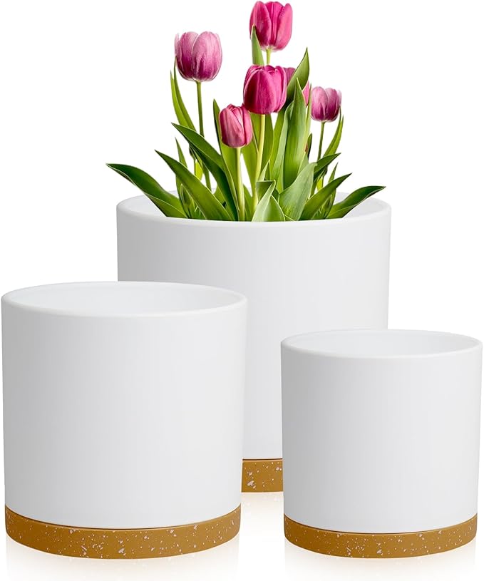 8/7/6 inch Plant Pots, 3 Pack Cylinder Flower Pots for Outdoor Indoor Plants, Decorative Plastic Planters with Drainage Holes and Saucers for Garden House Plants, White with Brown