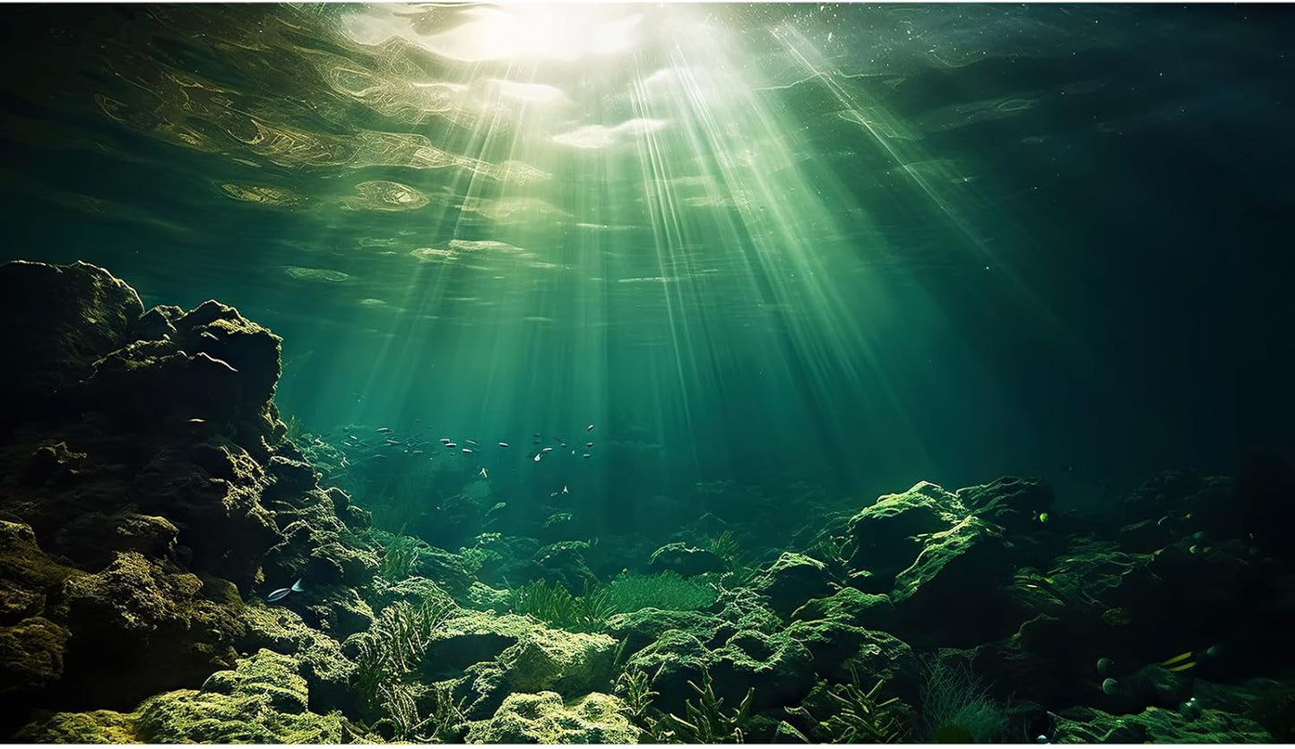 Under The Sea Aquarium Background Underwater Fish Tank Background Ocean Floor Rock Cave Sunray Terrarium Backgrounds Tropical Fish Ocean World Aquarium Reptile Tank Backgrounds 24x16in