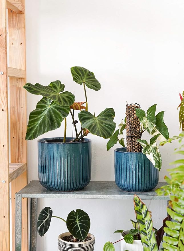 LE TAUCI Ceramic Pots for Plants, 8.3+6.9+5.7 inch Plant Pots Indoor, Flower Pots with Drainage Holes, Medium Cylinder Planters Pot for Indoor House Plants, Set of 3, Glaze Ocean Blue