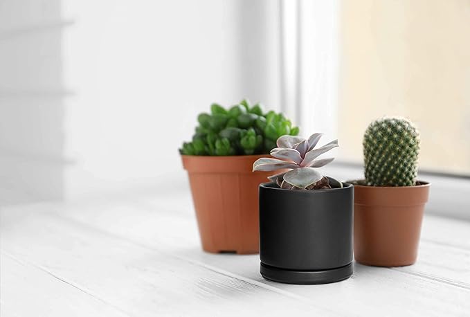D'vine Dev Ceramic Planter Pot with Drainage Hole and Saucer, Indoor Cylinder Round Flower Pot, 4.6 Inch, Black, 94-O-B-2