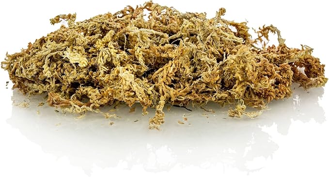 Premium New Zealand Sphagnum Moss by Gardenera - Organic Hand Mixed Long Fibered Sphagnum Moss Orchid - 4 Quart