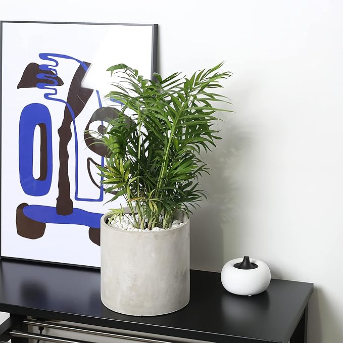 Plant Pots - 6.7 inch Cement Planters Indoor - Modern Grey Flower Pot with Drainage Hole - Home Office Decor