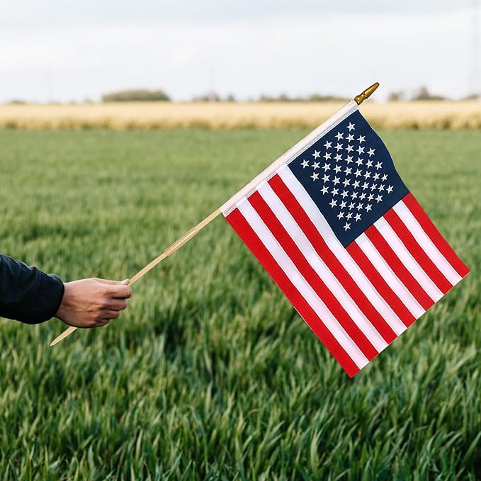 24 Pcs 12x18 Inch American Flags on Stick, American Flags, USA Stick Flag with Handheld and Grounded Multi-Purpose Flagpole, Design for Memorial Day, 4th of July, Veterans Day, Outside decorations