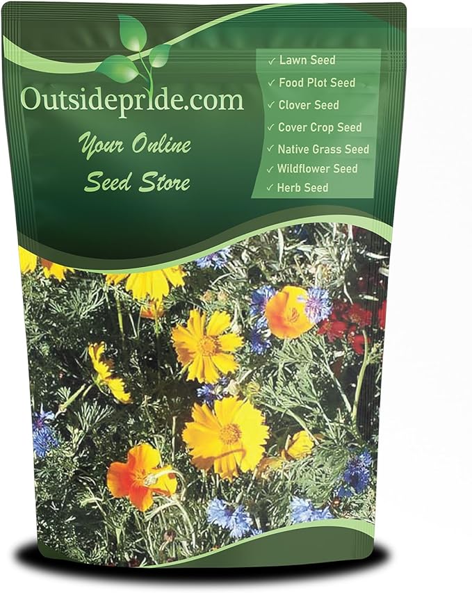 Outsidepride Low Growing Wildflower Seeds - 1/4 lb Dwarf, & Short, Diverse Perennial & Annual Wild Flower Seed Mix with Long Bloom Season for Colorful Display That Thrives on All States