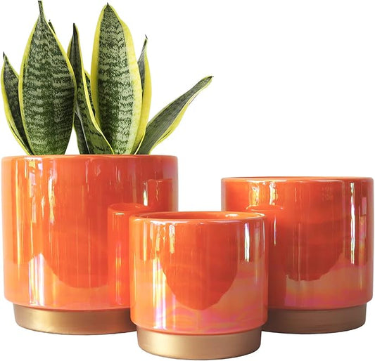 Gepege Indoor Pots for Plants, Ceramic Planter with Drainage Hole, 9.6inch+7.6Inch+6Inch. Succulent Orchid Flower Pot - Rainbow Pearl Glaze