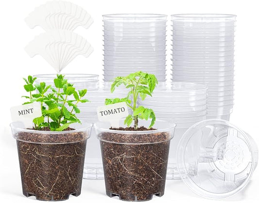 homenote Clear Nursery Pots for Plants,4 Inch Plant Pot for Planting Plastic Seedling with Drainage Holes Seed Starter Flower High Transparency with 20 Labels (60 Pack)