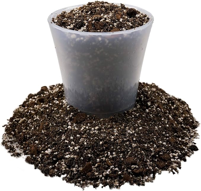 Fiddle Leaf Fig Soil Mix - 20 Quart - Premium Blend of Peat Moss, New Zealand Bark, Coco Chips, and Perlite for All Purpose Planting - 4 Bags of 5 Quart