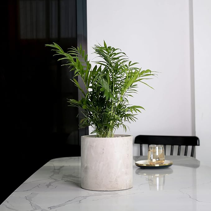 Plant Pots - 8.6 inch Cement Planters Indoor - Modern Grey Flower Pot with Drainage Hole - Home Office Decor