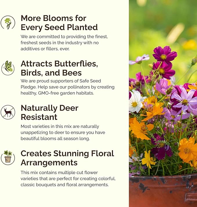 Eden Brothers Crazy for Cosmos Flower Mixed Seeds for Planting, 1 lb, 480,000+ Seeds with Cosmos Gloria, Pinkie, Purity | Attracts Pollinators, Plant in Spring or Fall, Zones 3, 4, 5, 6, 7, 8, 9, 10