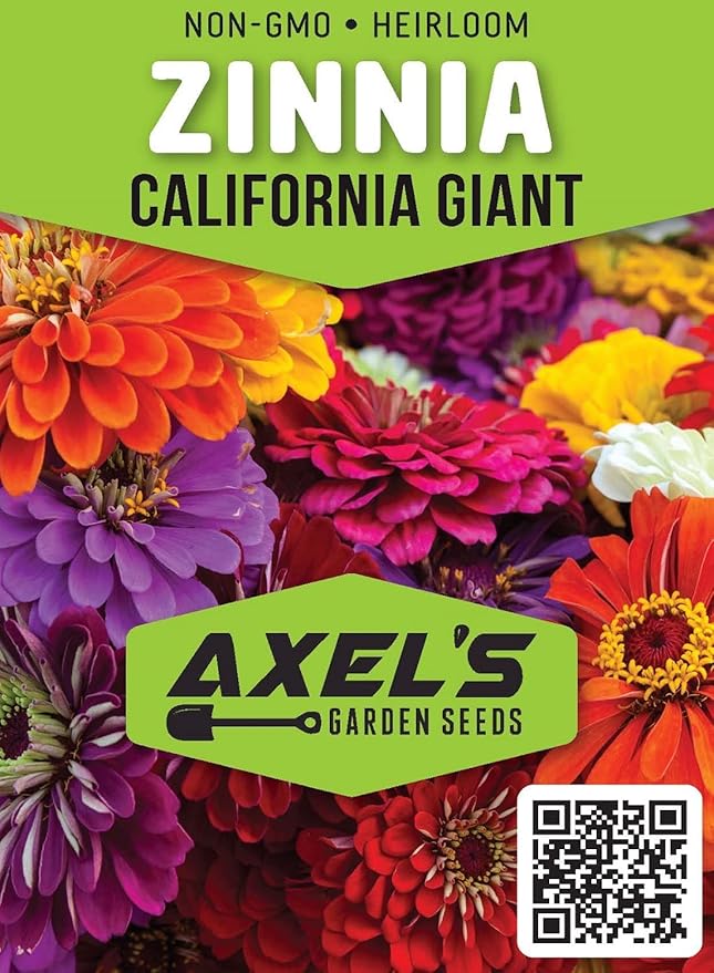 Zinnia Seeds for Planting – Non-GMO Heirloom Zinnia Flowers – Full Instruction Packets to Plant in Your Home Outdoor Garden – Gardening Gift – 50 California Giant Zinnia Seeds (2 Packets)