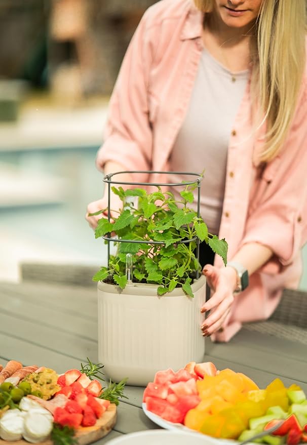 Vego garden Mini Planter Indoor Pots with Trellis Self-Watering Herb Countertop Planter for Climbing Vegetables Flowers Mint Plants Cage- Cream White