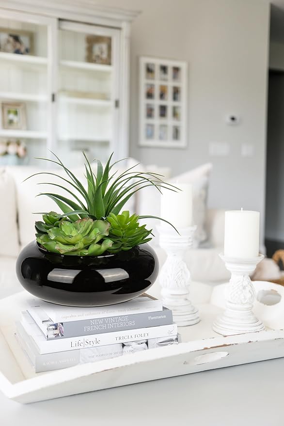 Large Artificial Succulents Plants Faux Succulents in Pots Fake Succulent Arrangement Potted Plants with Black Ceramic Pot for Office Desk Bathroom Shelf Living Room Indoor & Outdoor Home Decor