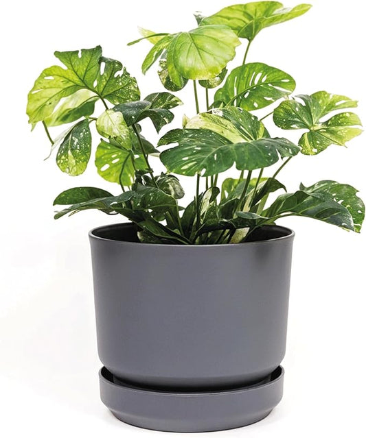 Elly Décor 8 inch Plastic Cylinder Planter Pot with Self-Watering Saucer and Drainage Hole,Lightweight & Extremely Durable, 8"x 8", Gray