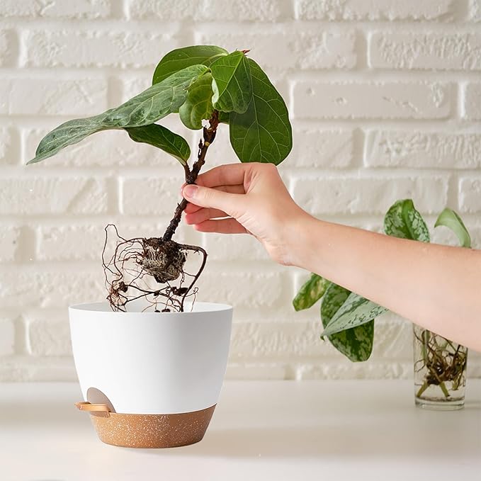 5Pack Self Watering Plant Pots for Lazy People, 7/6.5/6/5.5/5 Inch,White Plastic Self Watering Planter for All Houseplants,Succulent, African Violets,Snake Plants, Flowers and Cactus