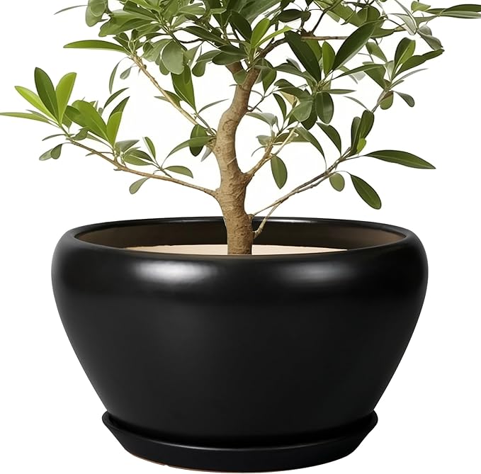 Ceramic Pot for Plants Large - 13 Inch Plant Pot Indoor with Drainage Hole and Saucer Round Planter Decorative Planter Outdoor Flower Pot for House Decor Balcony Black
