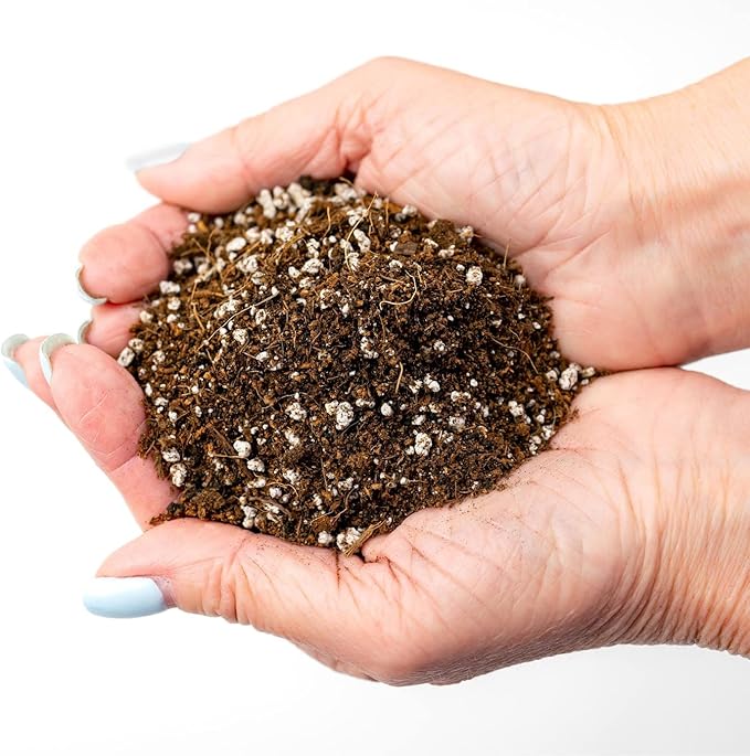 Professional Carnivorous Plant Soil - Ready to Use for Venus Flytraps, Sundews, Pitcher Plants, Butterworts | Peat Moss, Coco Coir, Perlite - 10 Quart