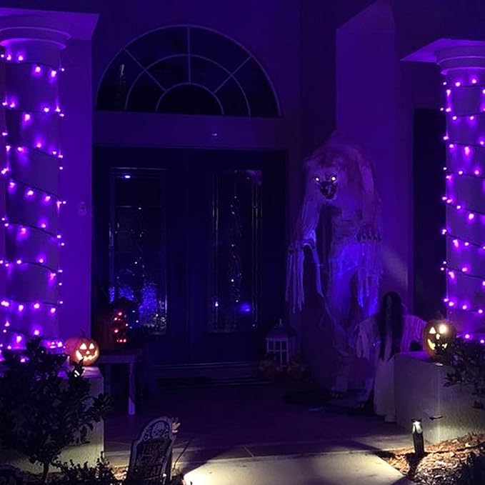 TW SHINE Purple Halloween Lights, 20FT 100 Count Incandescent Mini String Lights, Waterproof Halloween Decorations for Outdoor Indoor Patio Home Party Garden Yard Decor