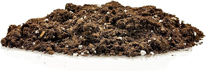 Money Tree Potting Soil, Soil Mix for Planting or Repotting Guiana Chestnut, Soil Blended to Properly Grow Money Tree Plants - (1 Quart Bag)