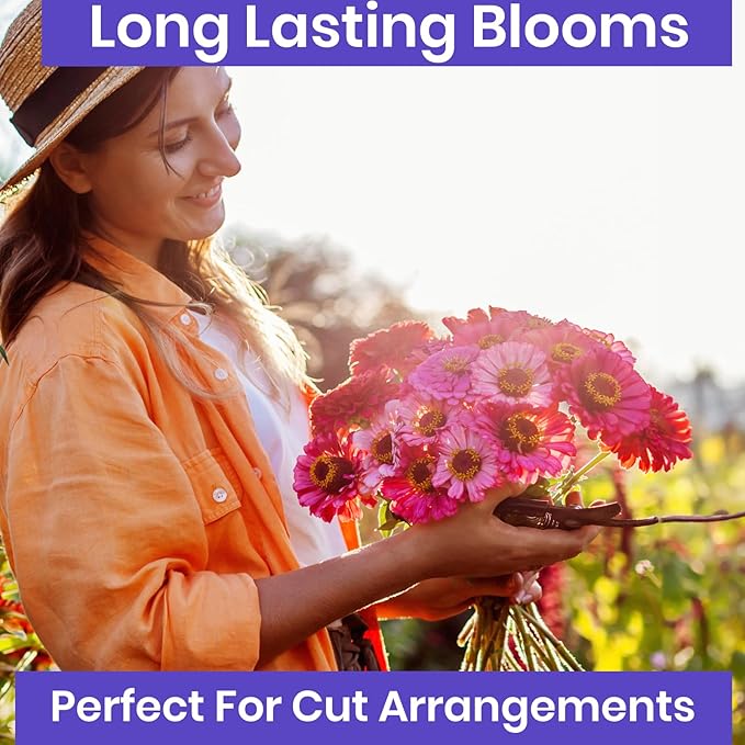 NatureZ Edge Zinnia Seeds for Planting Outdoors, Flower Seeds, Bulk Semillas De Flores para Sembrar, Pumila Mix 4.2 g