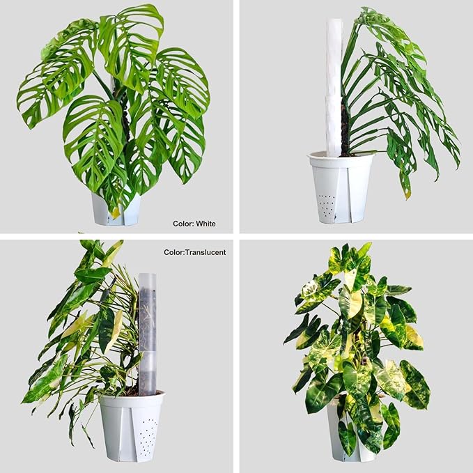 Plastic Moss Pole 4 Pcs Plant Stakes Extending to 62 Inch for Training Indoor Climbing Plants Such as Monstera to Grow Upwards-Use Plant Support Poles Work with Sphagnum Moss or Other soils