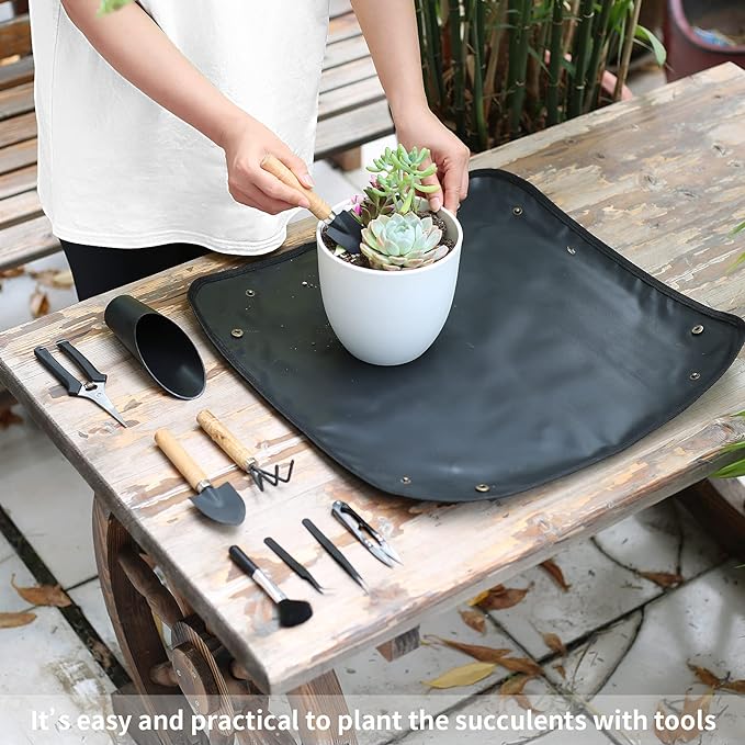 11Pcs Succulent Tools,Mini Garden Tools,Succulent Watering Tool as Plant Accessories,Succulent Gardending Hand Tools Kit for Seedling Soil,Caring Succulent,Houseplant,Gifts for Woman (No Flowerpot)