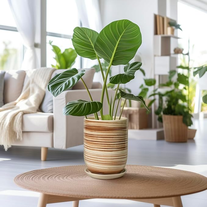 8 Inch Plant Pot, Ceramic Planter for Outdoor Plants, Large Plant Pot Indoor with Drainage Hole and Saucer, Modern Flower Pot for Home Garden Decor Yellow