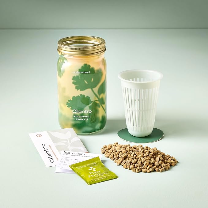 Modern Sprout Mason Garden Jar - Self-Watering Hydroponics Growing System Kit with Organic Herb Seeds - Jar Planter for Indoor Herb Garden - Seed Starter Kit - Home Decor & Gifting - Cilantro