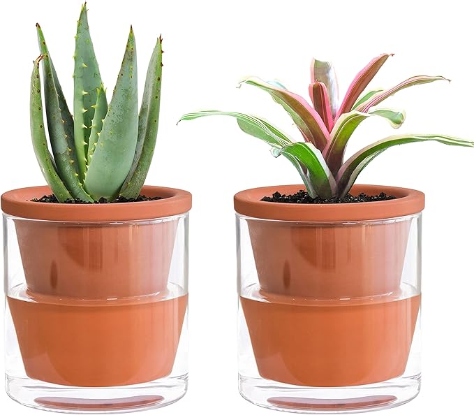 D'vine Dev 4 Inch Design Self Watering Pot for Indoor Plants, Terracotta Planter with Cylinder Glass Cup, Set of 2, 37-X-A-2