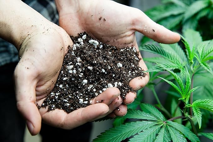 Premium JUST-ADD-Water Potting Soil Mix - Optimal Nutrient-Rich Blend for Thriving and HIGH-Yield Herbal Plants - 3 Quart
