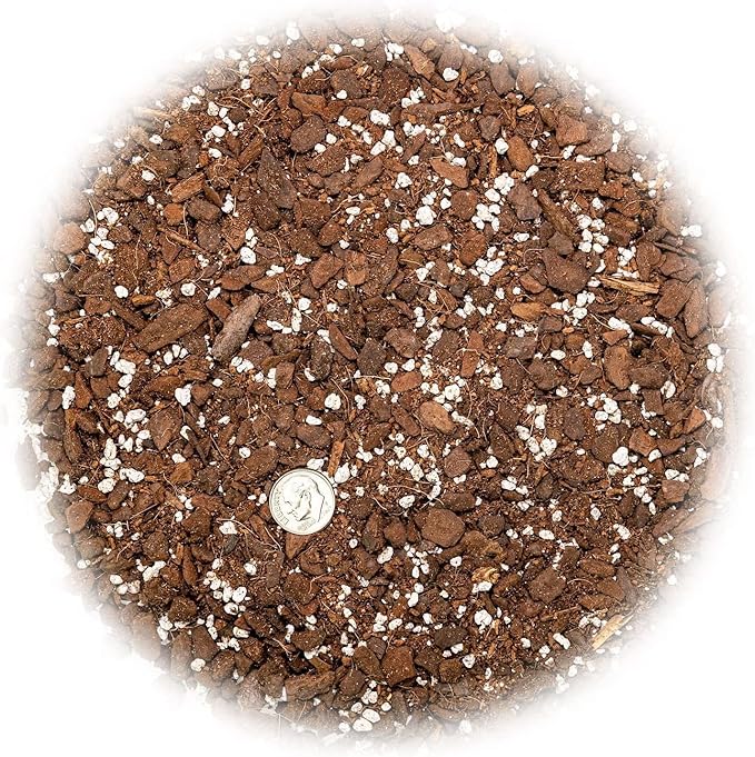 Split Leaf Philodendron Soil Mix - Expertly Formulated for Strong Root Development - 2 Quart
