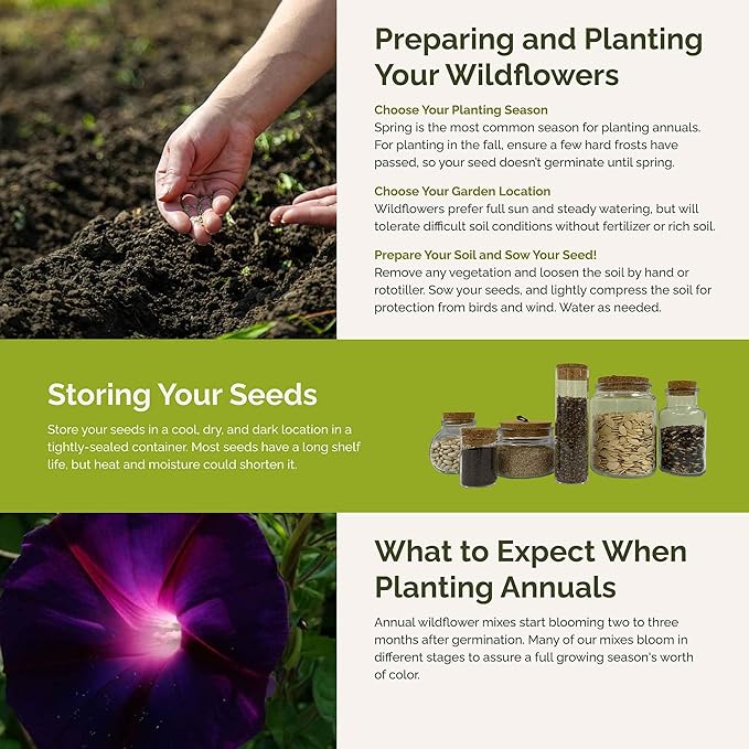 Eden Brothers Colorful Climbers Flower Mixed Seeds for Planting, 5 lb, 2,400,000+ Seeds with Morning Glory, Sweet Pea | Attracts Pollinators, Plant in Spring or Fall, Zones 3, 4, 5, 6, 7, 8, 9, 10