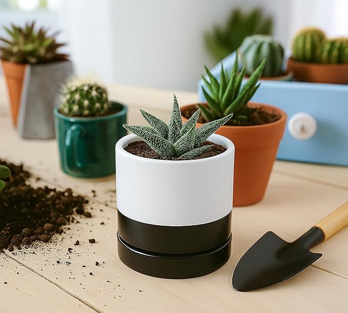 D'vine Dev 4.6 Inch Ceramic Planter Pot with Drainage Hole and Saucer, Indoor Cylinder Round Planter Pot, Layered Monochrome Black & White, 94-O-B-L