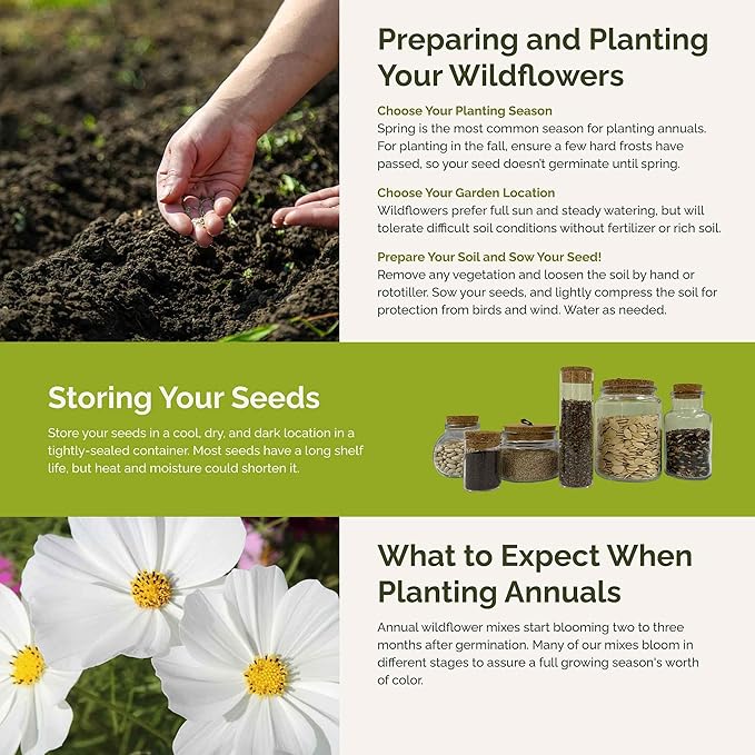 Eden Brothers Moon Garden Flower Mixed Seeds for Planting, 1 oz, 30,000+ Seeds with Cosmos Purity, Bishop's Flower | Attracts Pollinators, Plant in Spring or Fall, Zones 3, 4, 5, 6, 7, 8, 9, 10