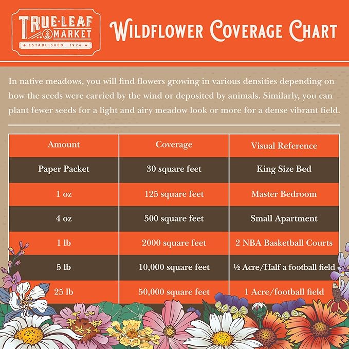 Northeastern Wildflower Seeds Bulk – 1 lb, 640,000+ Seeds – Annual & Perennial Wildflower Mix with Native Northeast Flowers – Regional Pollinator Flower Seed for Garden & Meadow