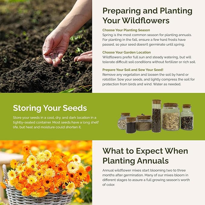 Eden Brothers Orange You Glad Flower Mixed Seeds for Planting, 5 lb, 2,400,000+ Seeds with Dahlia, Double Strawflower | Attracts Pollinators, Plant in Spring or Fall, Zones 3, 4, 5, 6, 7, 8, 9, 10