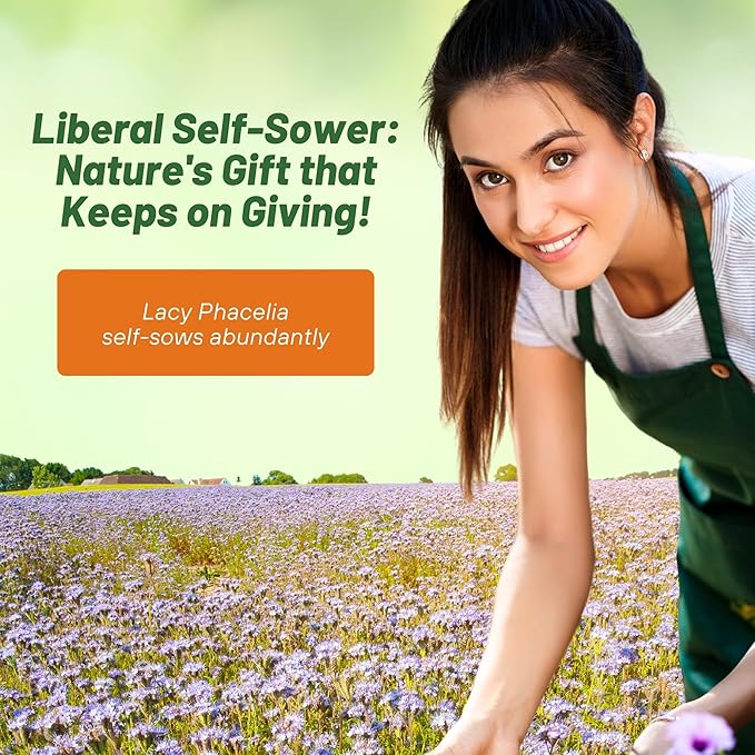 Outsidepride Lacy Phacelia Seeds for Planting - 5000 Pcs Annual, Drought-Tolerant Wildflower Seeds w/Light Violet Flowers, Ideal for Pollinator Gardens, Erosion Control, & Attracts Bees & Butterflies